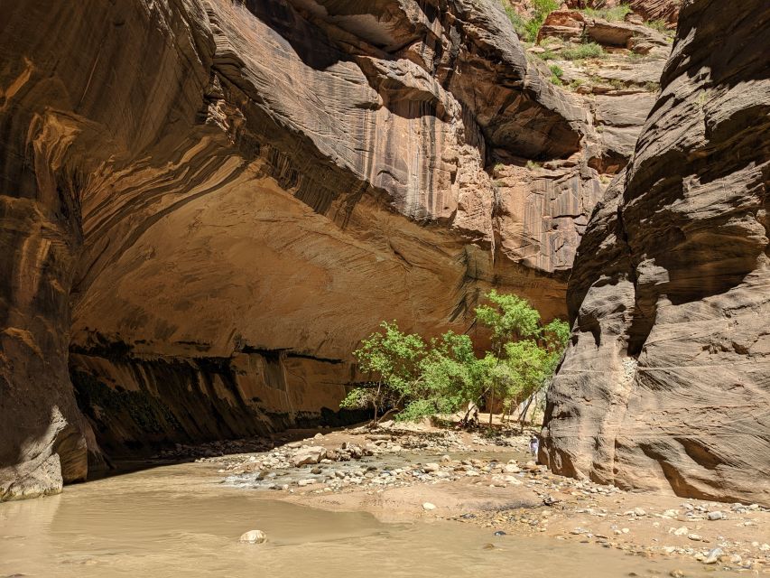 From Las Vegas: Zion National Park Small Group Adventure - Key highlights I’d plan around