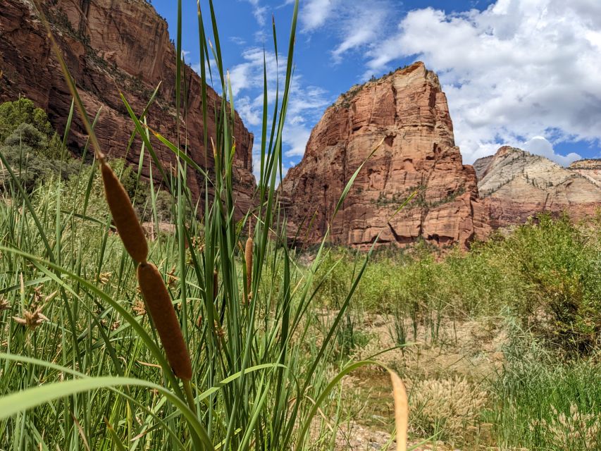 From Las Vegas: Zion National Park Small Group Adventure - How to use the 6-hour window without feeling rushed