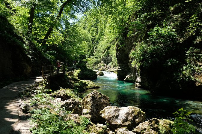 From Ljubljana: Triglav National Park Tour (Private) - Lake Bohinj Free Time: How to Use Your One-Hour Window