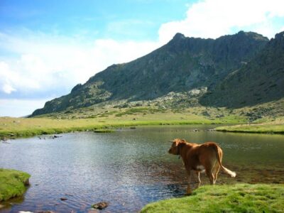 From Madrid: Day Trip to Guadarrama National Park - The Timing and Coach Ride: How the 10 Hours Add Up