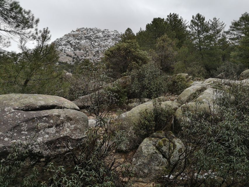 From Madrid: Day Trip to Guadarrama National Park - Navacerrada Lunch (1.5 Hours): Your Chance to Recharge on Your Terms