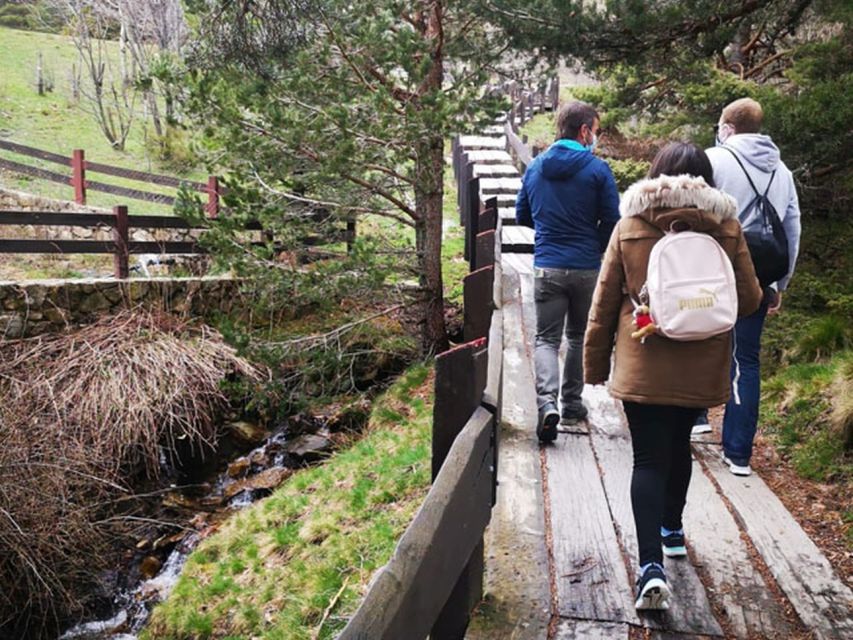 From Madrid: Day Trip to Guadarrama National Park - Puerto de Navacerrada and Puerto de Cotos: Short Stop, Big Elevation Feeling