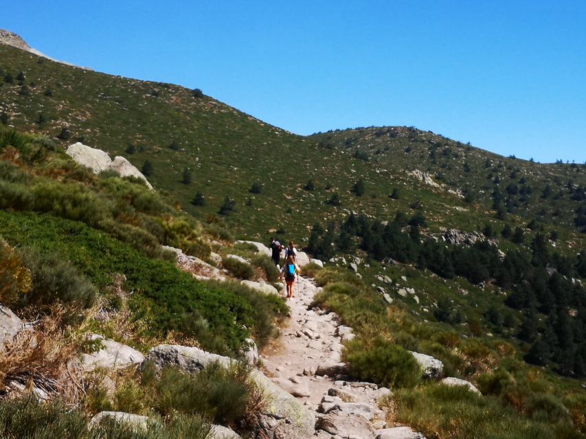 From Madrid: Day Trip to Guadarrama National Park - Mirador de las 6 Panorámicas: The Two-Hour View Stretch