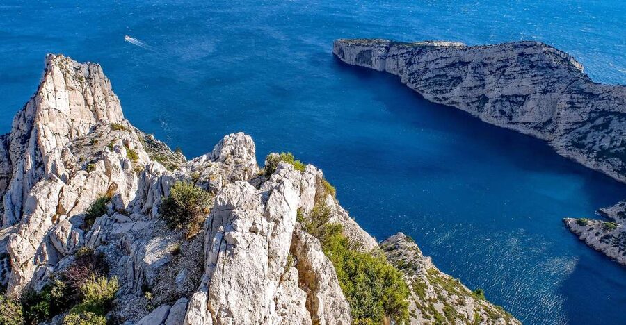 From Marseille: Calanques National Park Guided Hike - The trail through pine and rosemary toward the coastline