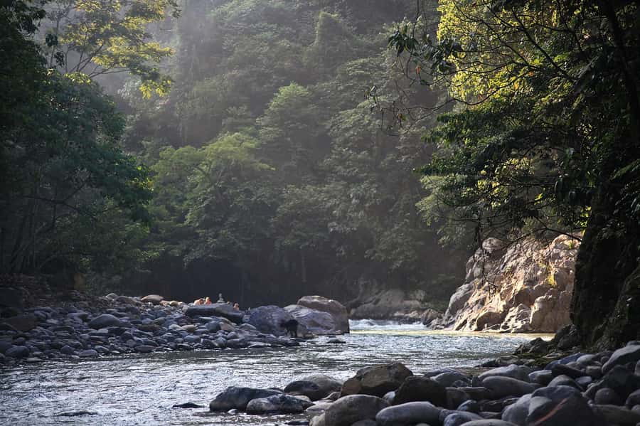 From Medan: Mount Leuser National Park Orang Utan Trip - From Medan to Bukit Lawang: The Drive and the Start Time
