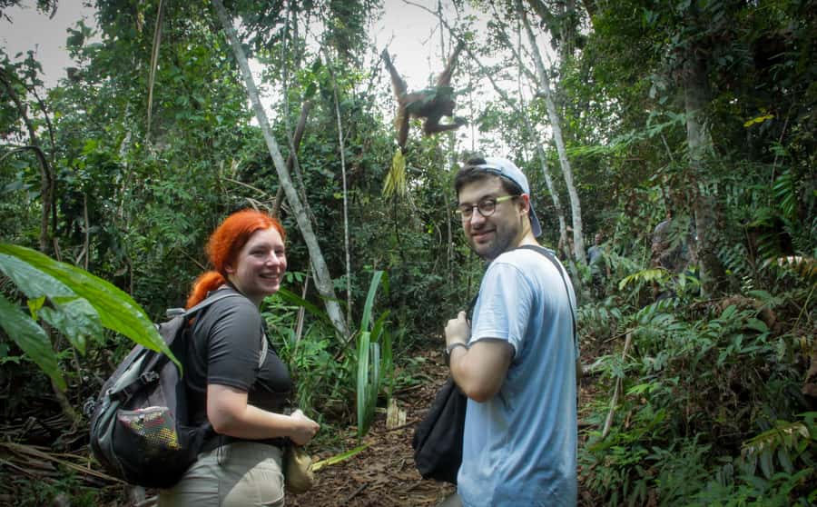 From Medan: Mount Leuser National Park Orang Utan Trip - Price and Inclusions: Is $76 Good Value?