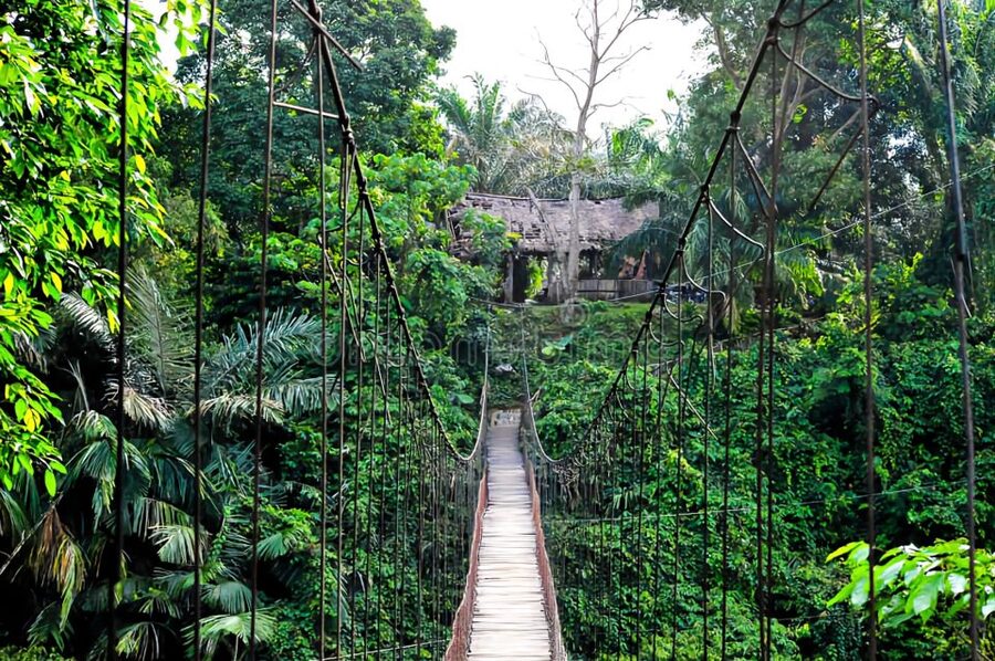 From Medan: Mount Leuser National Park Orang Utan Trip - What to Pack and the Rules You Must Follow