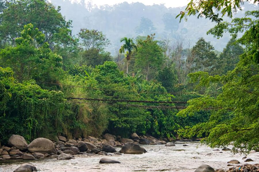From Medan: Mount Leuser National Park Orang Utan Trip - Should You Book This Orangutan Trip?