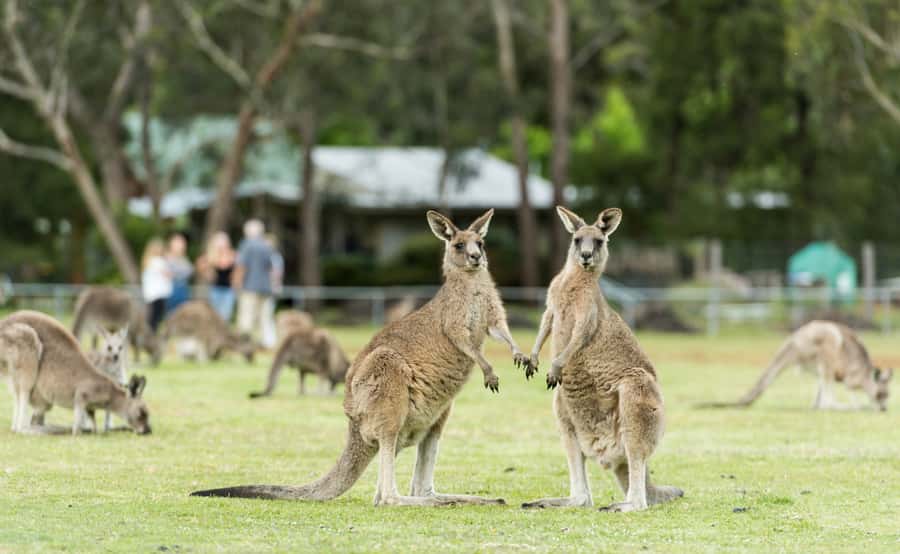 From Melbourne: Grampians National Park Group Tour - What to pack for a 13-hour Grampians day