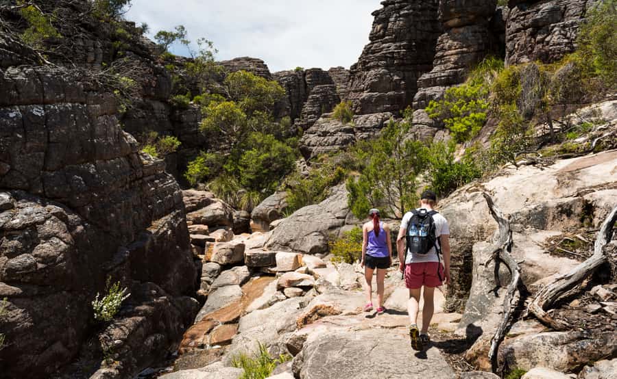 From Melbourne: Grampians National Park Group Tour - Halls Gap lunch time: kangaroos and birds without rushing