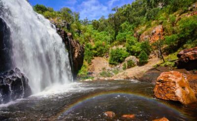 From Melbourne: Grampians National Park Group Tour - Silverband Falls: the quick walk that sets the tone