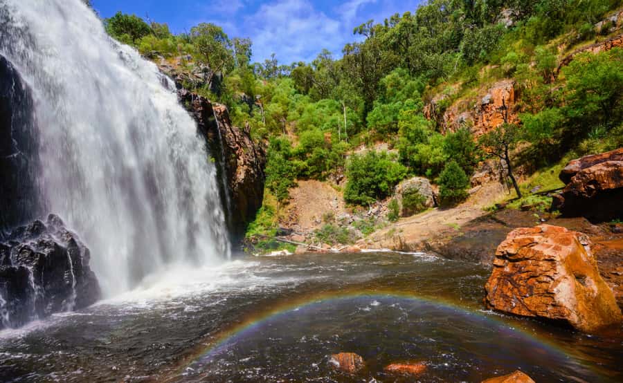 From Melbourne: Grampians National Park Group Tour - Silverband Falls: the quick walk that sets the tone