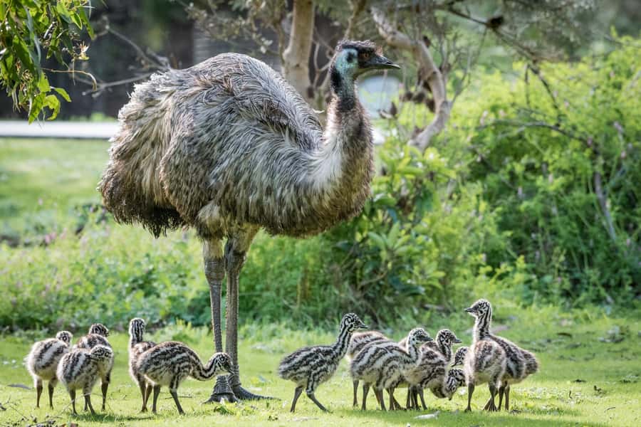 From Melbourne: Grampians National Park Small Group Tour - Comfort, Wi‑Fi, and translation: small-group logistics done right