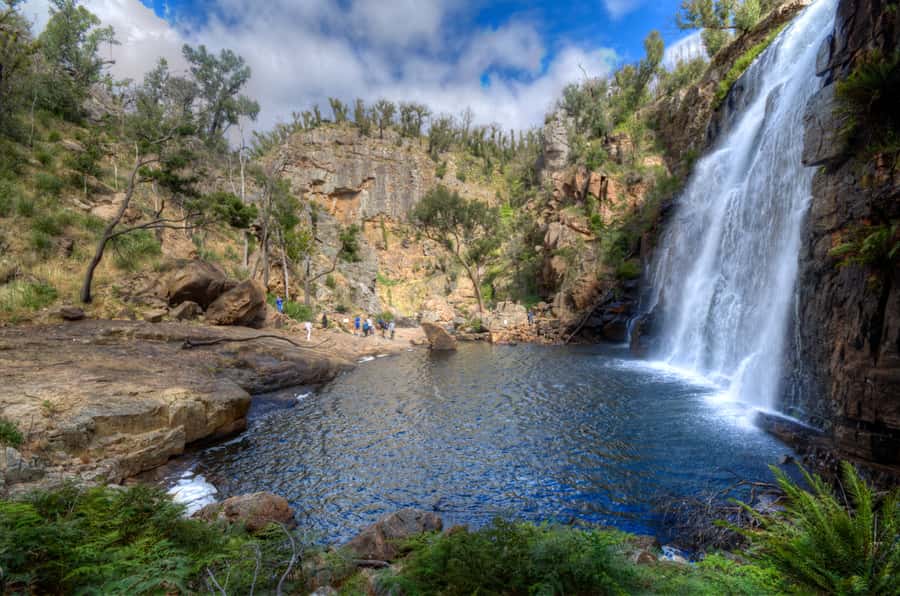 From Melbourne: Grampians National Park Small Group Tour - Wildlife in the park: how to spot roos and emus without chasing them