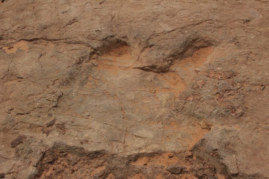 From Moab: Half-Day Arches National Park 4x4 Driving Tour - Dinosaur Tracks and Geology You Can See