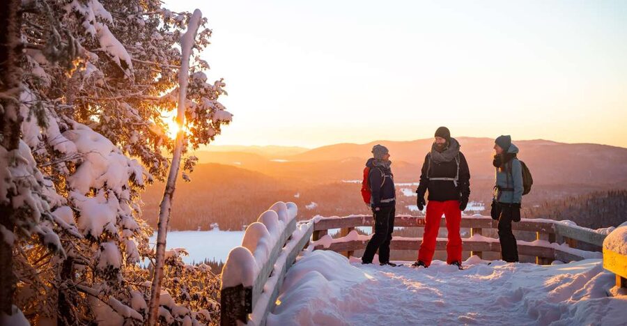 From Montreal: Mont-Tremblant National Park Hiking Day Trip - What your guide covers before you start walking