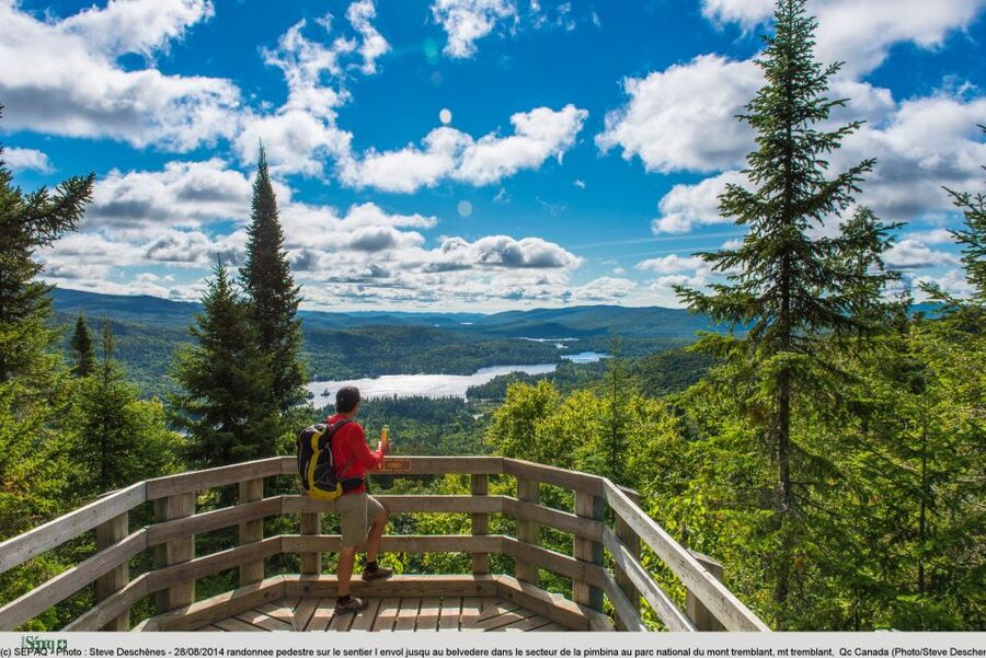 From Montreal: Mont-Tremblant National Park Hiking Day Trip - Noon picnic in the woods: the calm break that keeps the day fun