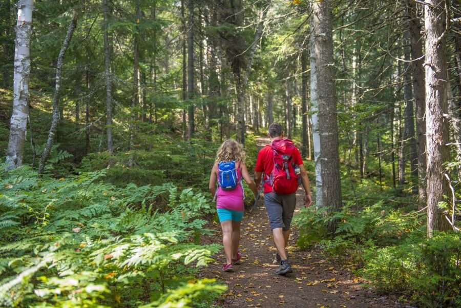 From Montreal: Mont-Tremblant National Park Hiking Day Trip - Mont-des-Cascades for the big panoramic payoff