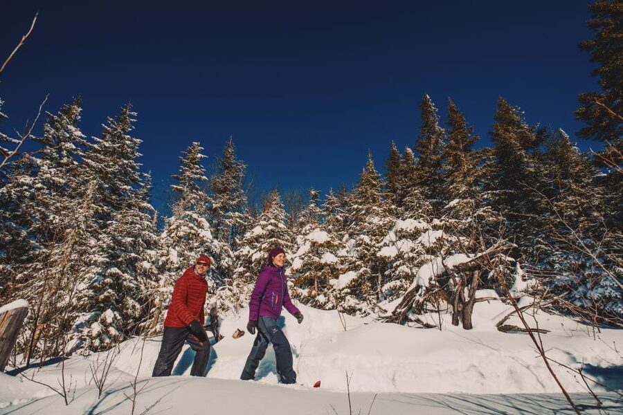 From Montreal: Mont-Tremblant National Park Hiking Day Trip - L’envol and Le Geai Bleu: for when you want a harder day