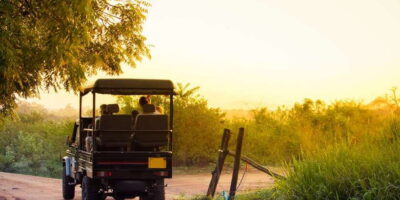 From Negombo: Minneriya National Park Safari Tour - The 2.5-Hour Jeep Safari: How You Actually Spot Wildlife