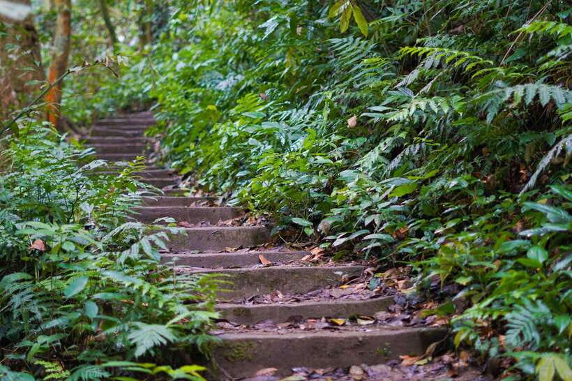From Ninh Binh: Cuc Phuong National Park 1-Day Small Group - Price and logistics: is $46 good value?