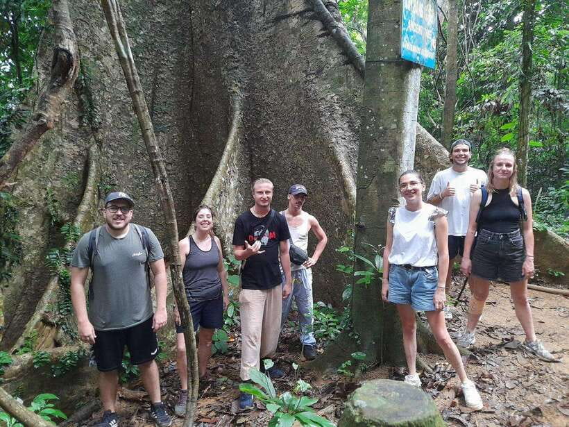 From Ninh Binh: Cuc Phuong National Park Trekking Day Tour - When the day ends: the 15:30 return and 16:30 drop-off