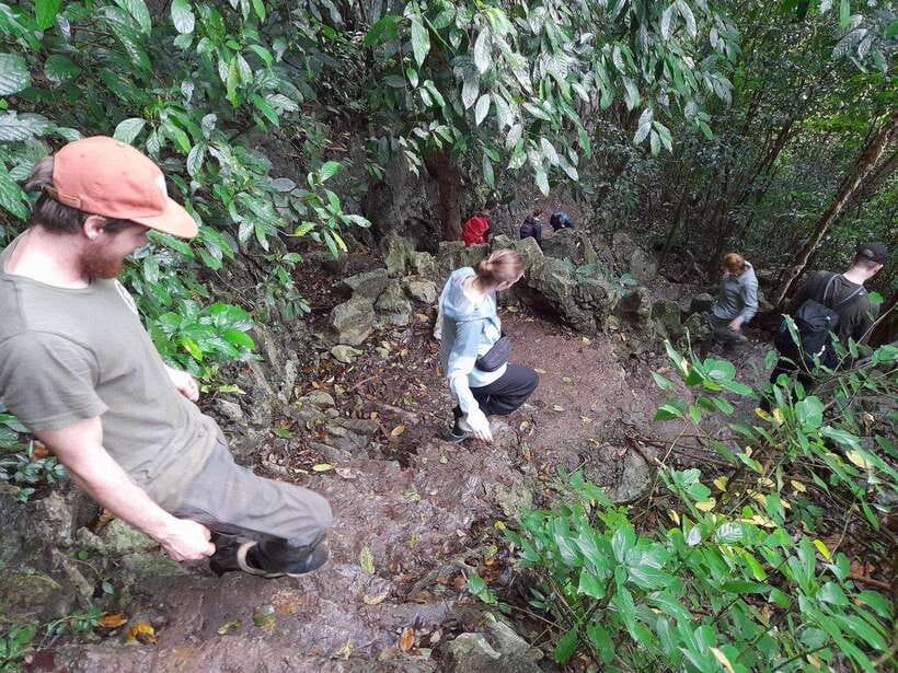From Ninh Binh: Cuc Phuong National Park Trekking Day Tour - Price and value: is $48 a fair deal?