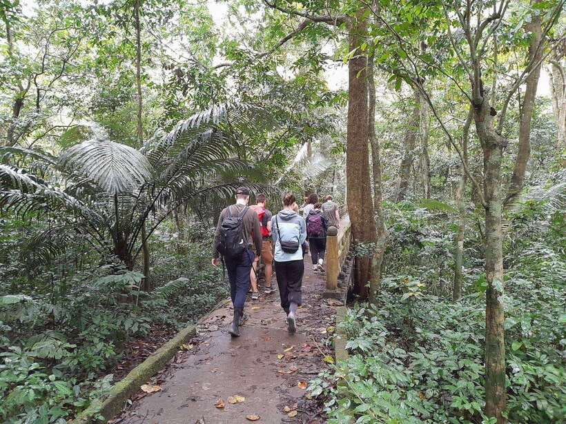 From Ninh Binh: Cuc Phuong National Park Trekking Day Tour - Who should book this Cuc Phuong trek day tour