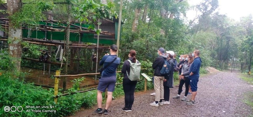 From Ninh Binh Small Group Discover Cuc Phuong National Park - Lunch and pacing: when the day feels well balanced