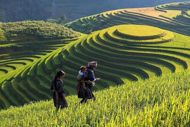 From Ninh Binh to Cuc Phuong National Park, Trekking and Jungle - Primary Forest Drive: Getting Deeper Before You Trek