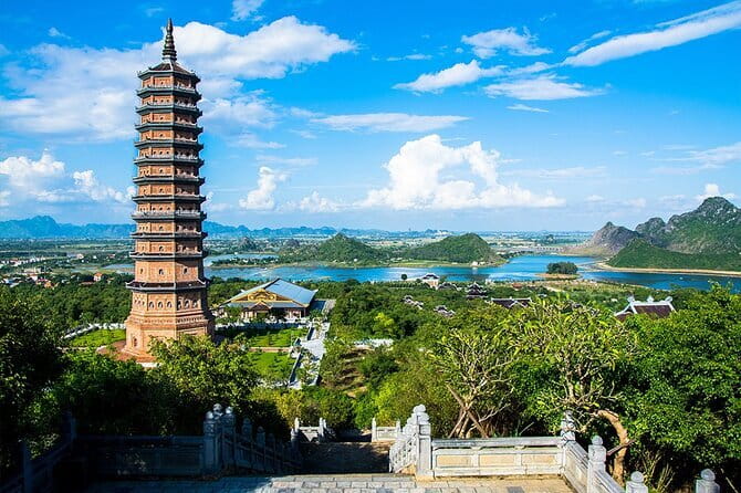 From Ninh Binh to Cuc Phuong National Park, Trekking and Jungle - Trekking to Ancient Trees: Big Tree Time and Route Options