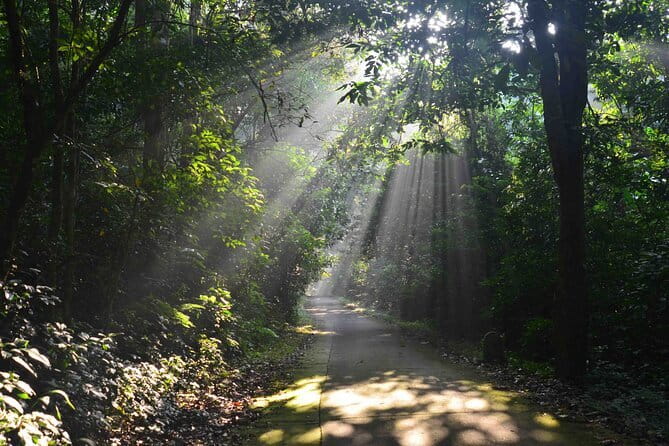 From Ninh Binh to Cuc Phuong National Park, Trekking and Jungle - Lunch and Rhythm: Set Vietnamese Meal, No Guesswork