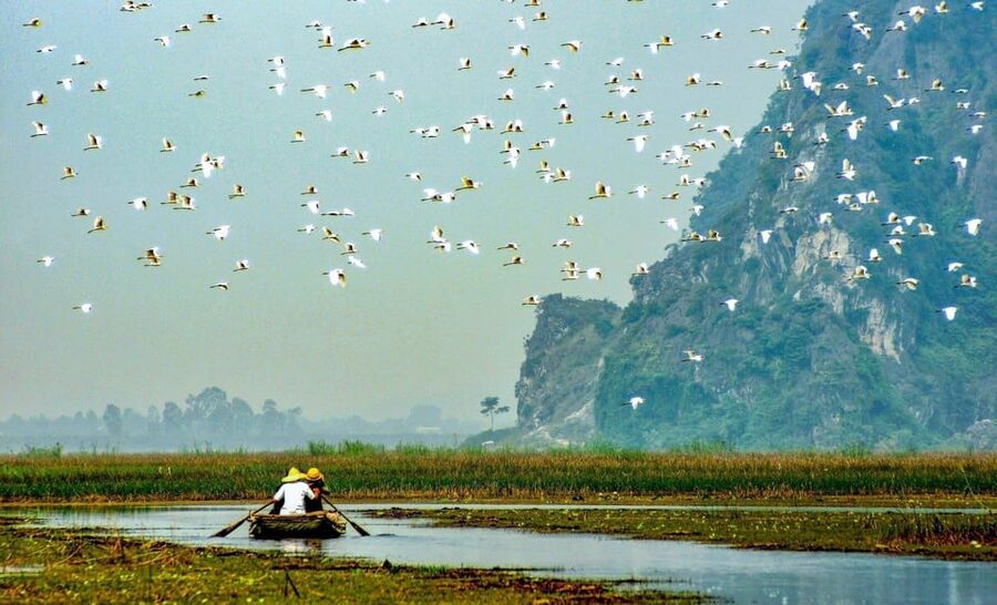 From Ninh Binh: Visit Cuc Phuong National Park - Van Long - Key highlights worth your time
