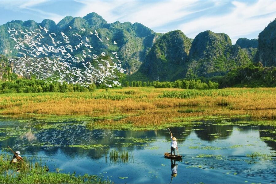 From Ninh Binh: Visit Cuc Phuong National Park - Van Long - Van Long wetlands at 15:40: the slow boat ride you came for