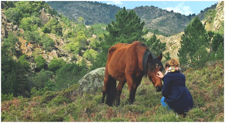 From Porto: Peneda-Gerês National Park Tour with Lunch - Photos, swimming, and gear: what actually matters