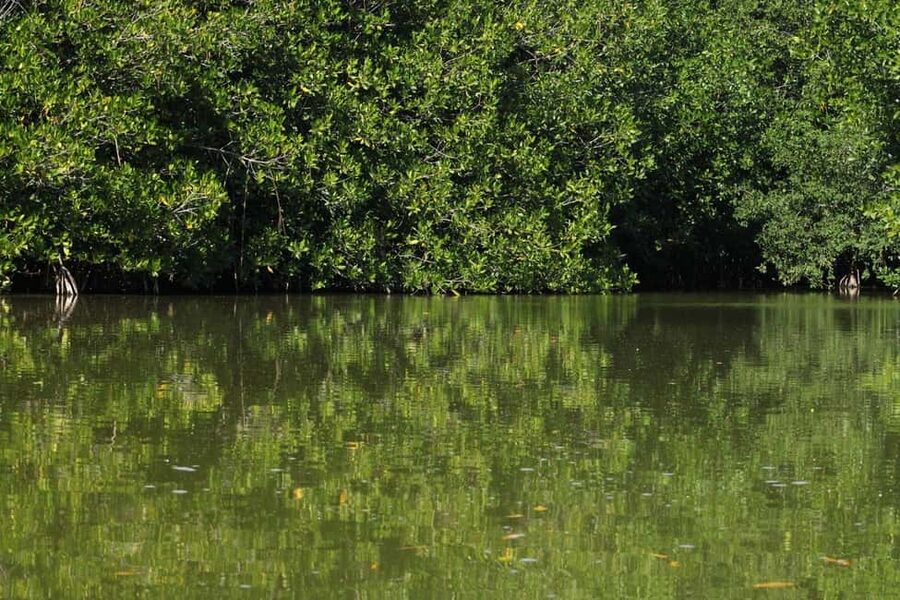 From Puerto Escondido: Day Trip to Chacahua National Park - Key things to know before you go