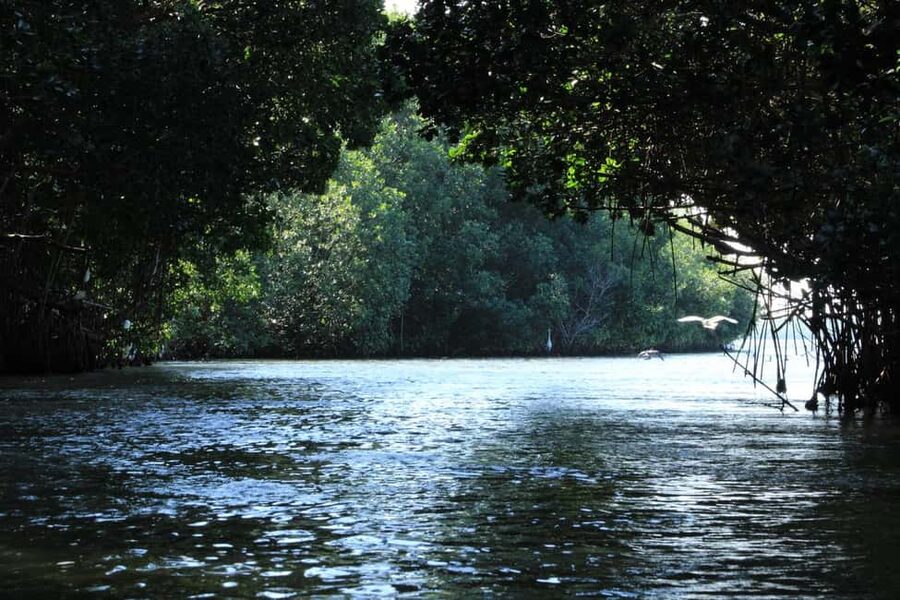 From Puerto Escondido: Day Trip to Chacahua National Park - From Puerto Escondido to Lagunas de Chacahua: the ride and the feel