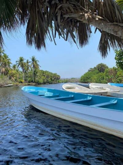 From Puerto Escondido: Day Trip to Chacahua National Park - Mangrove Boat Cruise: flora, fauna, and birdwatching in motion