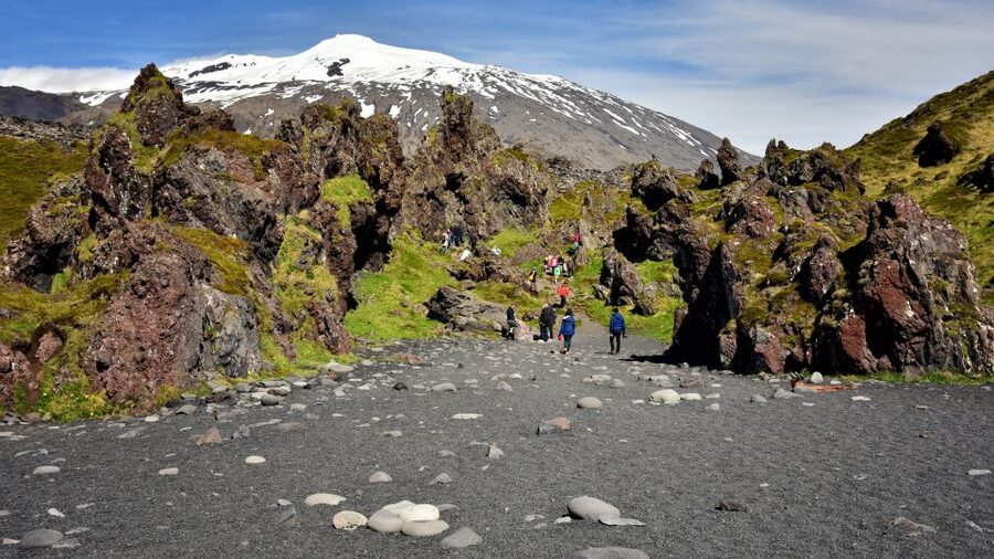 From Reykjavik: Snaefellsnes National Park - Small Group - Ytri Tunga and Breiðafjörður: Golden Beach plus seal odds