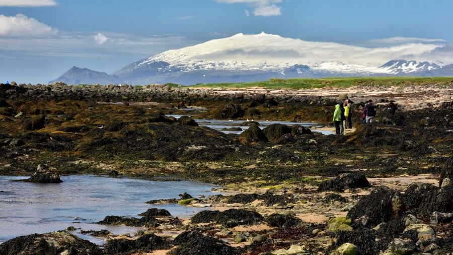 From Reykjavik: Snaefellsnes National Park - Small Group - Kirkjufell: the church-shaped mountain stop you’ll plan around
