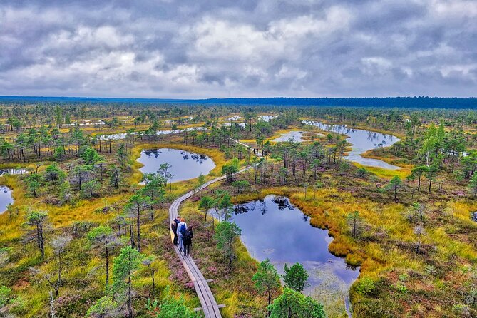 From Riga: Best of Kemeri National Park In One Day - Key things to love about this Kemeri day trip
