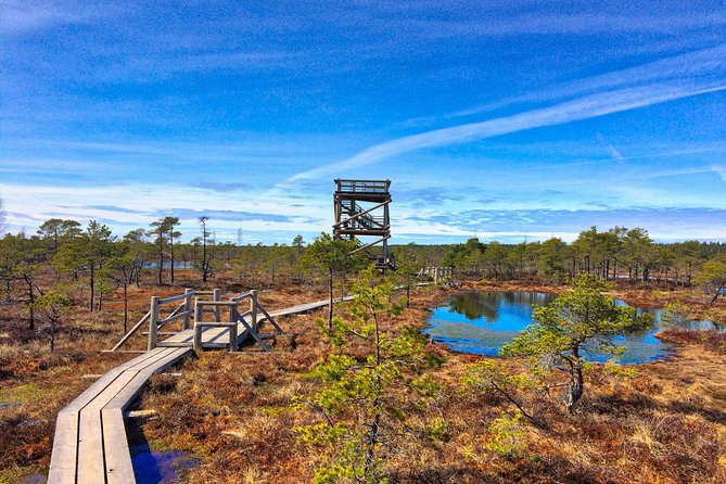 From Riga: Best of Kemeri National Park In One Day - Entering Kemeri: A full-day nature circuit from Riga
