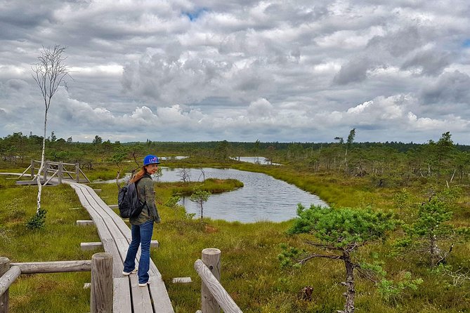 From Riga: Best of Kemeri National Park In One Day - Wet forests and sulphur springs: why this part matters