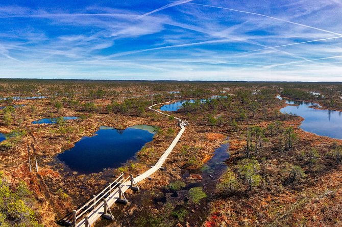 From Riga: Best of Kemeri National Park In One Day - Stop 3: Ragaciems beach and coastal pine forests