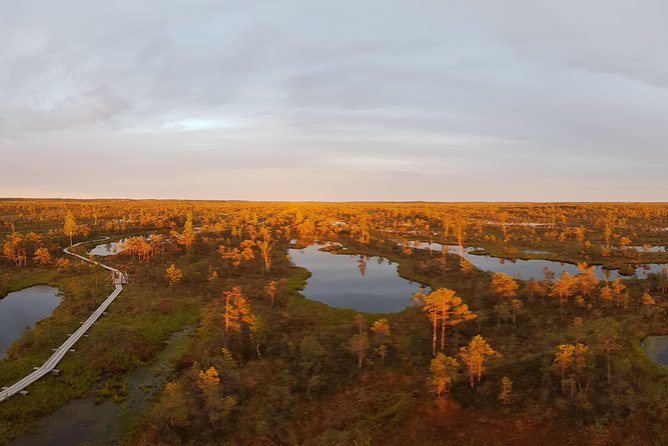 From Riga: Best of Kemeri National Park In One Day - The guide style: eco-ideas plus real pacing