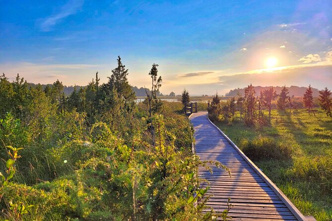 From Riga: Best of Kemeri National Park In One Day - What to bring and how to handle an outdoors day