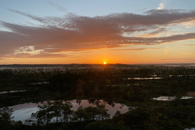 From Riga: Kemeri Bog Boardwalk and Jurmala Seaside - Key highlights that make this day trip worth it