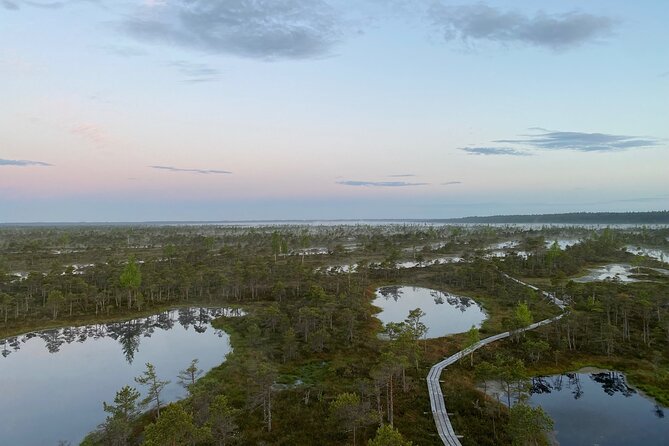 From Riga: Kemeri Bog Boardwalk and Jurmala Seaside - Kemeri Bog Boardwalk: stepping onto Latvia’s wetland world