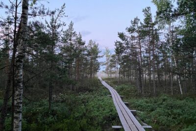 From Riga: Kemeri Bog Boardwalk and Jurmala Seaside - Ķemeri Historical Park: spa-town remnants with real atmosphere