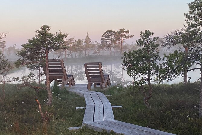 From Riga: Kemeri Bog Boardwalk and Jurmala Seaside - Price and value from Riga: what $114 really buys